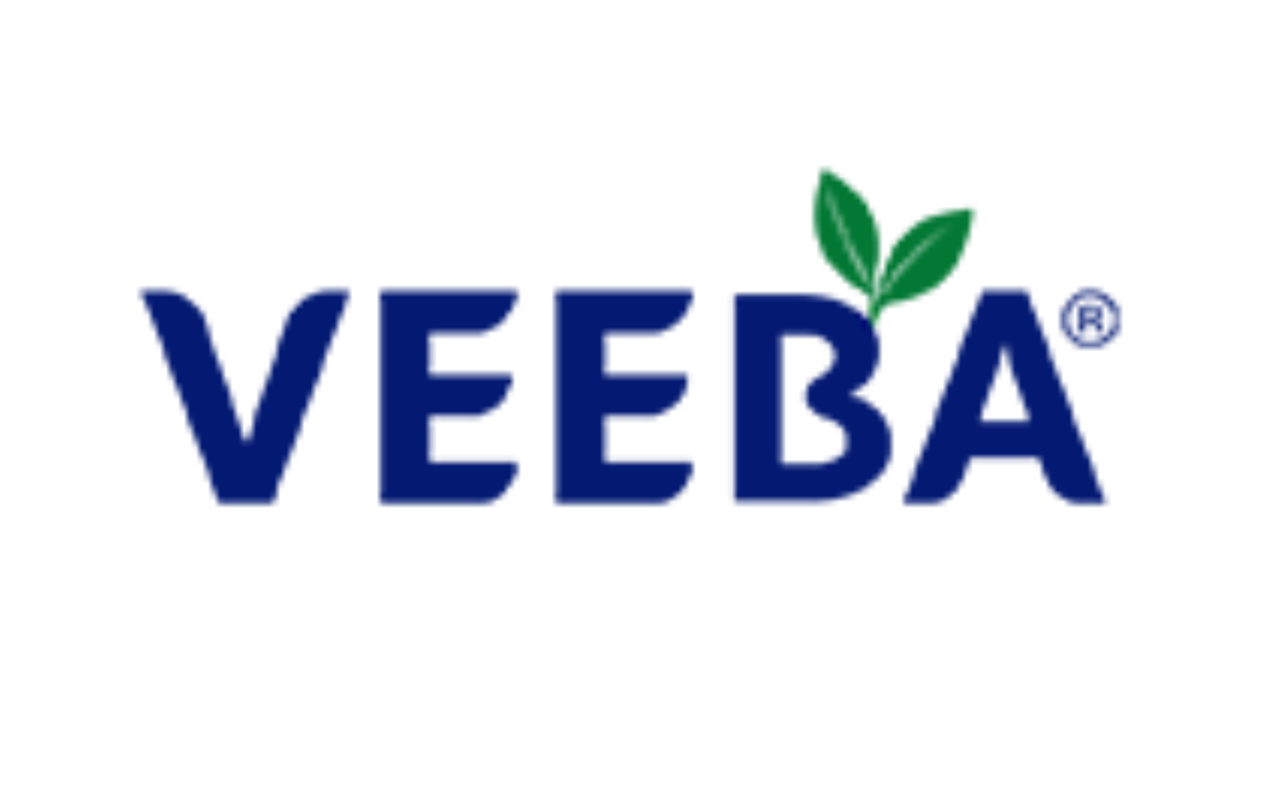 veeba sm logo